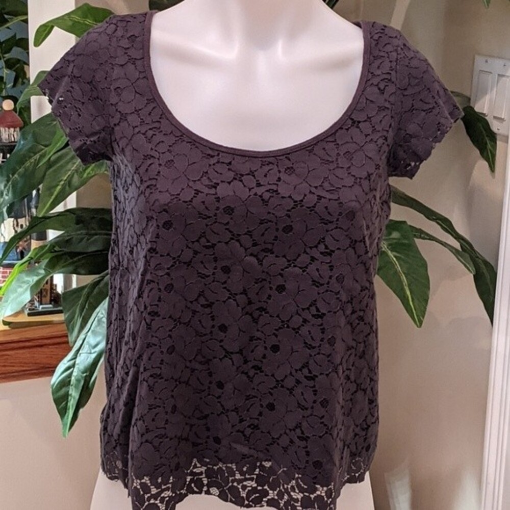 AEO Women's Short Sleeve Gray Lace Top w/Cap Sleeves Size Small